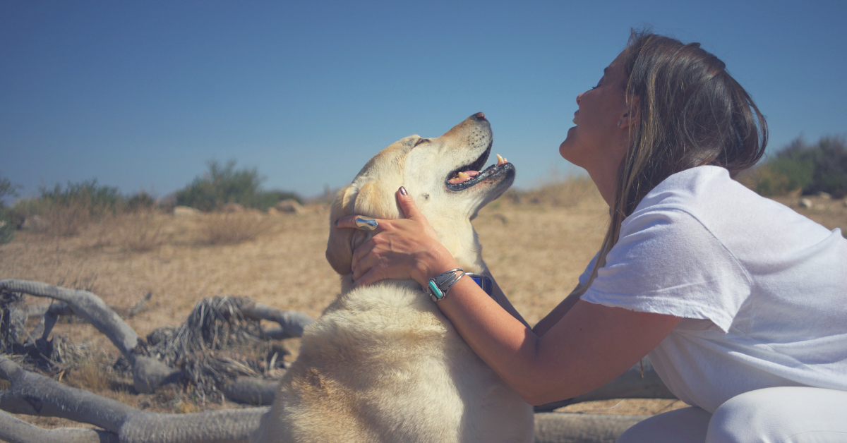 064 animal communication and