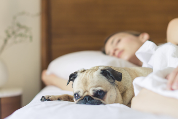 Woman sleeping with dog