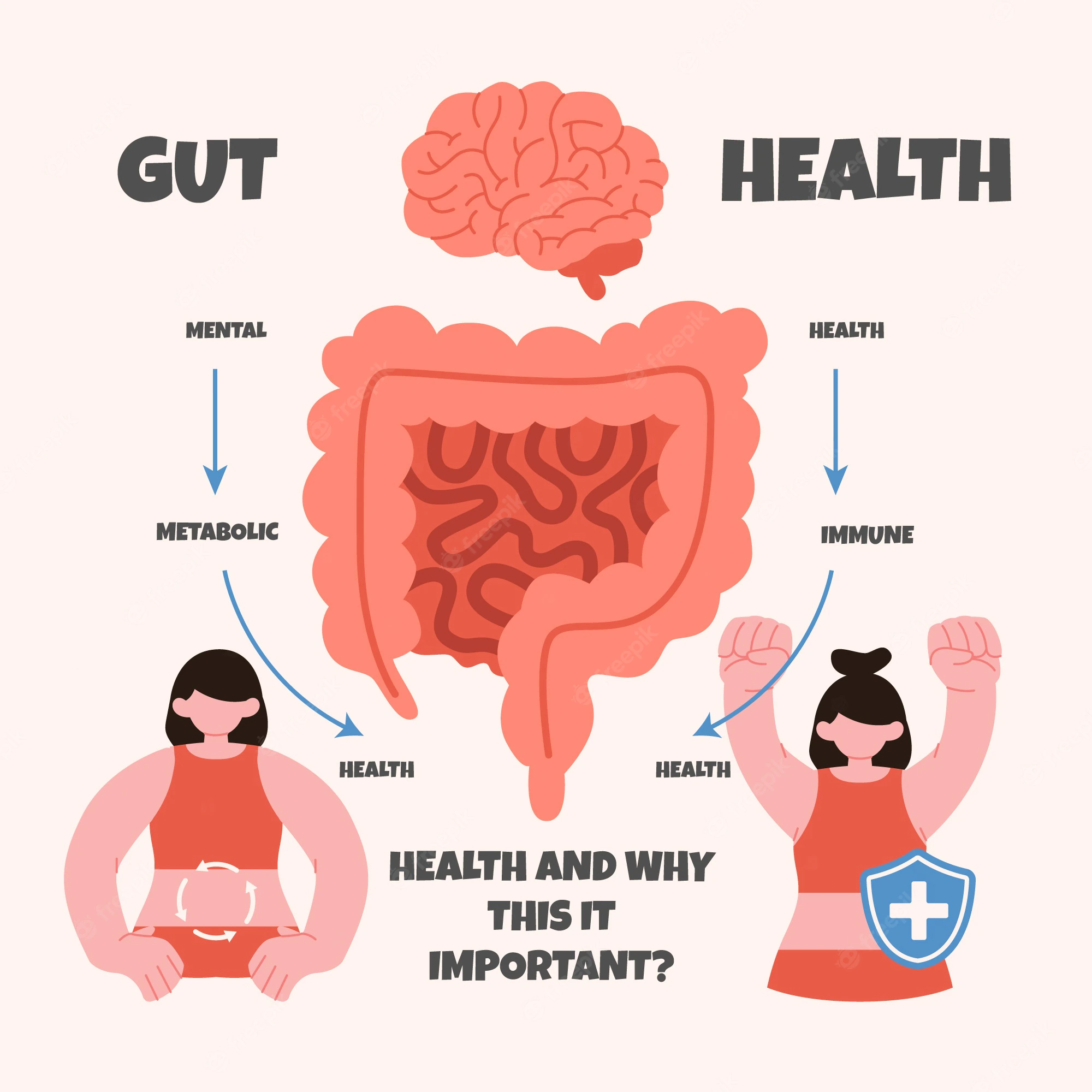 Gut health and gut-brain connection